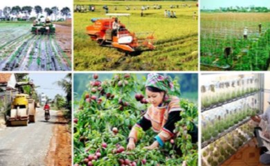 Thủ tướng giao: Nông nghiệp phấn đấu tăng trưởng 3,05%; tổng kim ngạch xuất khẩu nông sản đạt trên 33 tỷ USD