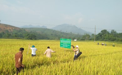 Hội thảo nhân rộng mô hình nông nghiệp thông minh thích ứng với biến đổi khí hậu CSA năm 2019 – 2020 trên địa bàn huyện Quang Bình