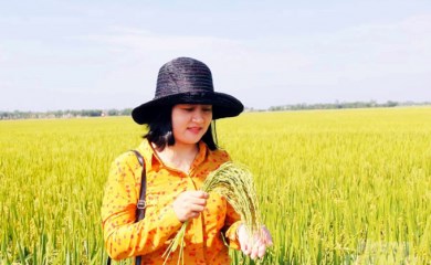 Dự án 'Cải thiện nông nghiệp có tưới' tại Quảng Trị: Thành công ngoài mong đợi