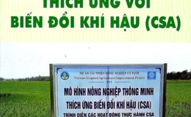 Hướng dẫn kỹ thuật canh tác lúa đông xuân thích ứng với biến đổi khí hậu - Dự án Cải thiện nông nghiệp có tưới thành phần Tỉnh Quảng Nam